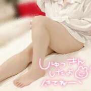 ヒメ日記 2025/05/19 11:57 投稿 りん 岐阜岐南各務原ちゃんこ