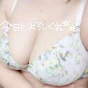 ヒメ日記 2025/05/20 08:27 投稿 りん 岐阜岐南各務原ちゃんこ