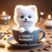 ヒメ日記 2025/06/11 10:08 投稿 りん 岐阜岐南各務原ちゃんこ