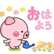 ヒメ日記 2025/06/12 09:17 投稿 りん 岐阜岐南各務原ちゃんこ