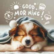 ヒメ日記 2025/06/16 07:37 投稿 りん 岐阜岐南各務原ちゃんこ