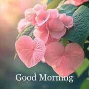 ヒメ日記 2025/06/28 08:47 投稿 りん 岐阜岐南各務原ちゃんこ