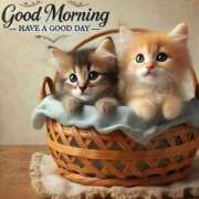 ヒメ日記 2025/07/02 06:27 投稿 りん 岐阜岐南各務原ちゃんこ