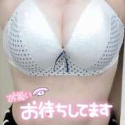 ヒメ日記 2025/07/03 13:57 投稿 りん 岐阜岐南各務原ちゃんこ