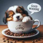 ヒメ日記 2025/07/19 06:37 投稿 りん 岐阜岐南各務原ちゃんこ