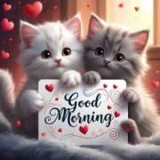 ヒメ日記 2025/07/27 07:17 投稿 りん 岐阜岐南各務原ちゃんこ