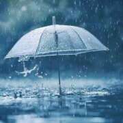 ヒメ日記 2025/08/10 11:08 投稿 りん 岐阜岐南各務原ちゃんこ