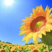 ヒメ日記 2025/08/14 07:37 投稿 りん 岐阜岐南各務原ちゃんこ