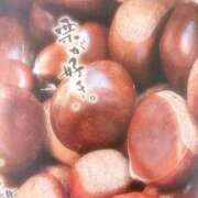 ヒメ日記 2025/08/21 02:17 投稿 りん 岐阜岐南各務原ちゃんこ