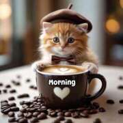 ヒメ日記 2025/09/08 06:47 投稿 りん 岐阜岐南各務原ちゃんこ