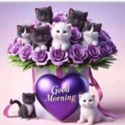 ヒメ日記 2025/10/22 11:07 投稿 りん 岐阜岐南各務原ちゃんこ