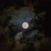 ヒメ日記 2025/11/06 10:32 投稿 りん 岐阜岐南各務原ちゃんこ