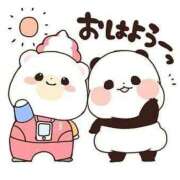 ヒメ日記 2025/12/06 06:27 投稿 りん 岐阜岐南各務原ちゃんこ