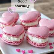 ヒメ日記 2025/12/18 06:07 投稿 りん 岐阜岐南各務原ちゃんこ