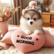 ヒメ日記 2026/01/10 06:47 投稿 りん 岐阜岐南各務原ちゃんこ