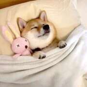 ヒメ日記 2026/01/21 09:57 投稿 りん 岐阜岐南各務原ちゃんこ