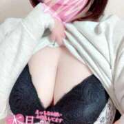 ヒメ日記 2026/01/29 13:17 投稿 りん 岐阜岐南各務原ちゃんこ