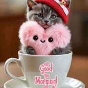 ヒメ日記 2026/02/03 06:07 投稿 りん 岐阜岐南各務原ちゃんこ