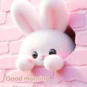 ヒメ日記 2026/03/04 06:37 投稿 りん 岐阜岐南各務原ちゃんこ