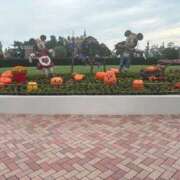 ヒメ日記 2025/10/06 17:04 投稿 もゆ エロエロ星人 豊橋店