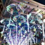 ヒメ日記 2024/12/28 21:53 投稿 えりか もしも素敵な妻が指輪をはずしたら・・・カーラ