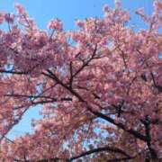 ヒメ日記 2025/03/27 22:33 投稿 えりか もしも素敵な妻が指輪をはずしたら・・・カーラ