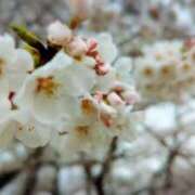 ヒメ日記 2025/04/08 23:03 投稿 えりか もしも素敵な妻が指輪をはずしたら・・・カーラ