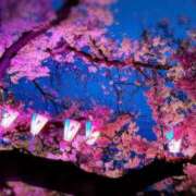 ヒメ日記 2025/04/15 23:33 投稿 えりか もしも素敵な妻が指輪をはずしたら・・・カーラ