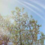 ヒメ日記 2025/06/11 17:30 投稿 彩花音(あかね) 天国にいちばん近い島　ニューカレドニア式高級アロマエステ(カサブランカグループ)