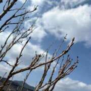 ヒメ日記 2026/03/21 18:28 投稿 彩花音(あかね) 天国にいちばん近い島　ニューカレドニア式高級アロマエステ(カサブランカグループ)