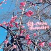 ヒメ日記 2026/02/19 14:36 投稿 多香子(たかこ) 天国にいちばん近い島　ニューカレドニア式高級アロマエステ(カサブランカグループ)