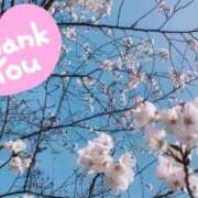 ヒメ日記 2026/03/27 20:04 投稿 多香子(たかこ) 天国にいちばん近い島　ニューカレドニア式高級アロマエステ(カサブランカグループ)