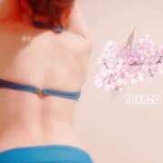 ヒメ日記 2026/04/12 13:56 投稿 多香子(たかこ) 天国にいちばん近い島　ニューカレドニア式高級アロマエステ(カサブランカグループ)