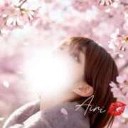 あいり 桜舞い散る〜♪ 千葉人妻花壇