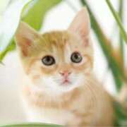 ヒメ日記 2024/12/26 00:48 投稿 らら 初体験