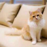 ヒメ日記 2024/12/26 12:09 投稿 らら 初体験