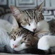 ヒメ日記 2024/12/26 14:17 投稿 らら 初体験