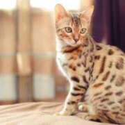 ヒメ日記 2024/12/30 09:37 投稿 らら 初体験