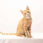 ヒメ日記 2025/01/07 10:13 投稿 らら 初体験