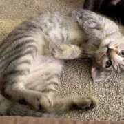 ヒメ日記 2025/01/09 09:37 投稿 らら 初体験