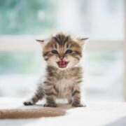 ヒメ日記 2025/01/29 19:34 投稿 らら 初体験