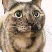 ヒメ日記 2025/02/08 11:51 投稿 らら 初体験