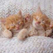 ヒメ日記 2025/03/20 07:15 投稿 らら 初体験