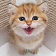 ヒメ日記 2025/03/21 11:39 投稿 らら 初体験