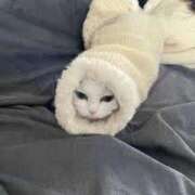 ヒメ日記 2025/03/23 08:47 投稿 らら 初体験