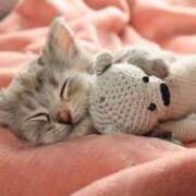 ヒメ日記 2025/03/25 08:39 投稿 らら 初体験