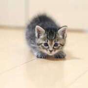 ヒメ日記 2025/04/05 18:20 投稿 らら 初体験