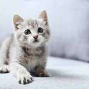 ヒメ日記 2025/04/07 10:29 投稿 らら 初体験