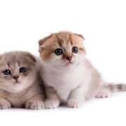 ヒメ日記 2025/04/10 07:52 投稿 らら 初体験