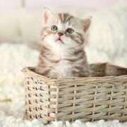 ヒメ日記 2025/04/11 06:59 投稿 らら 初体験